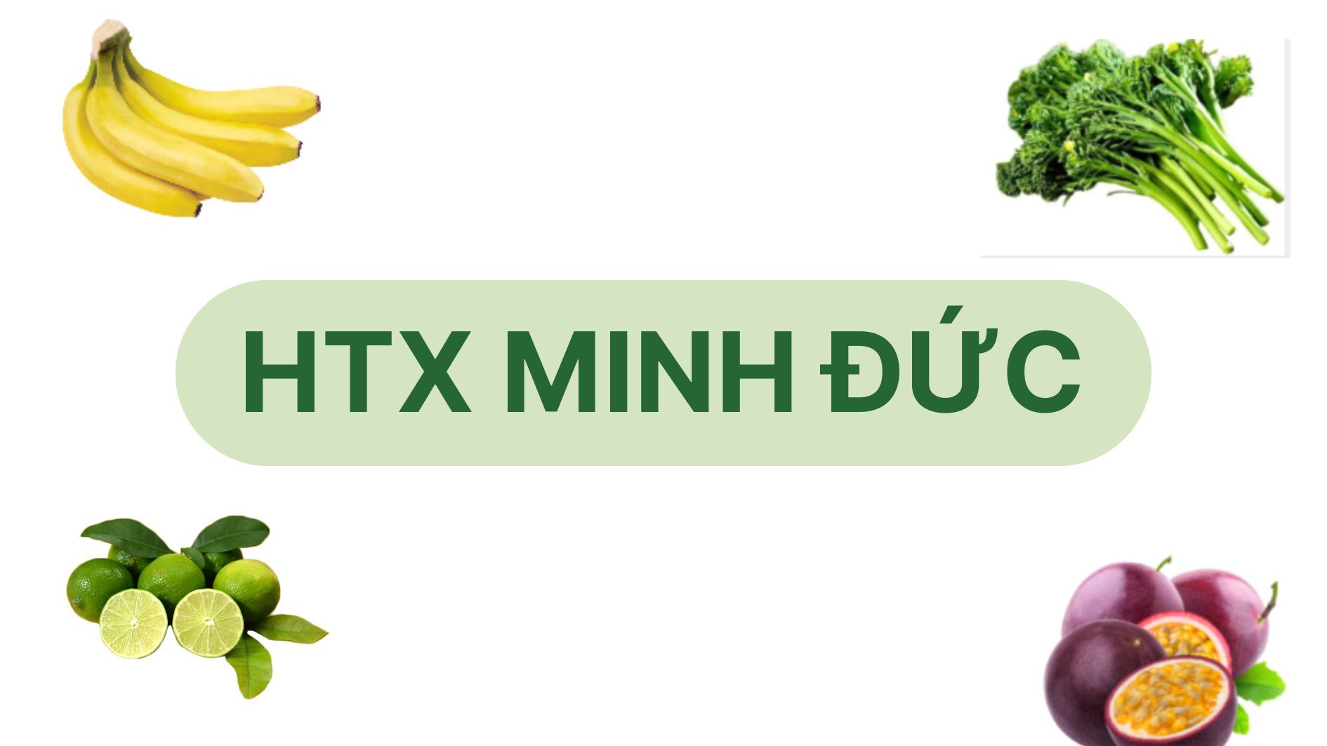 Minh Đức