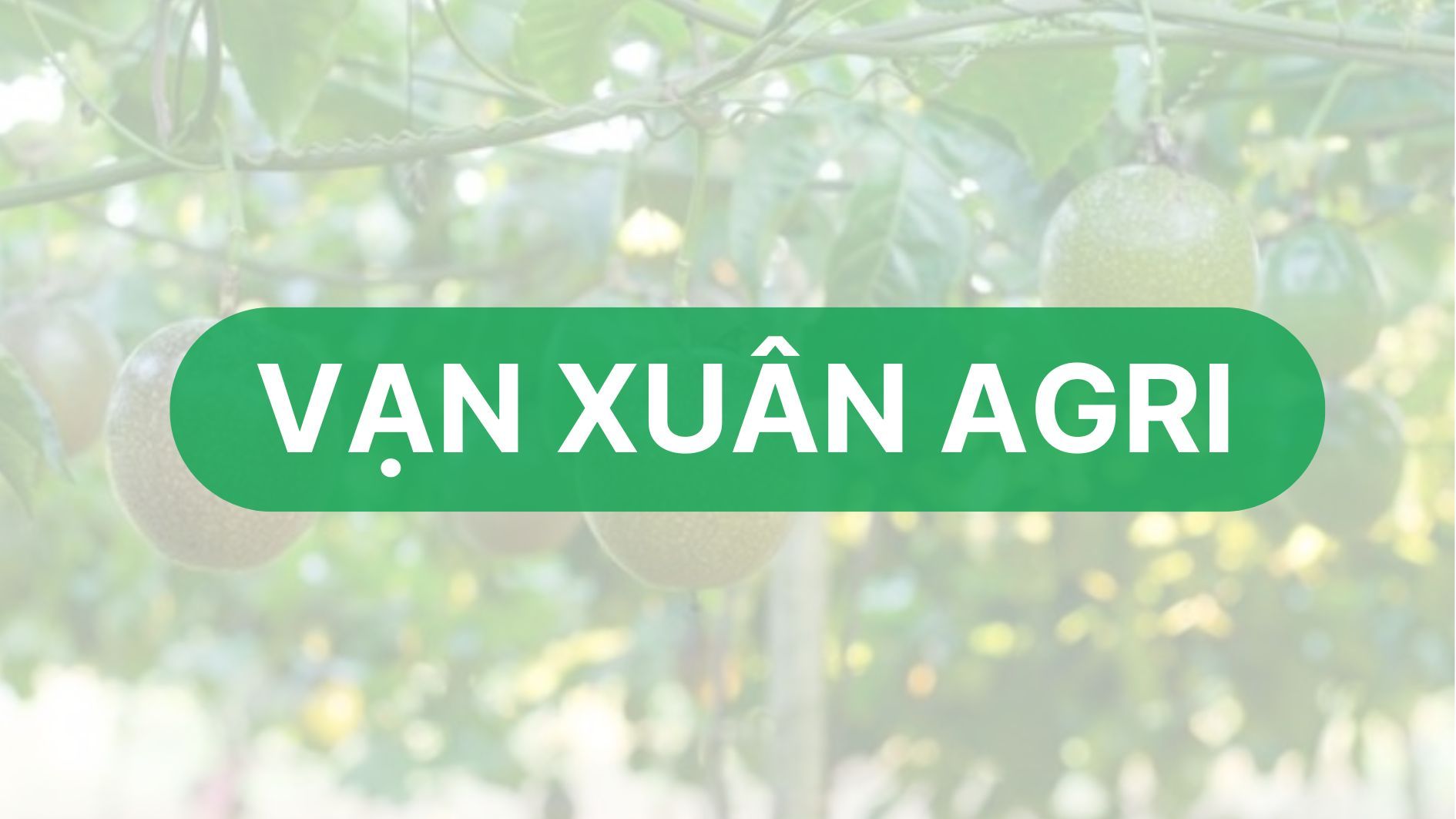 Vạn Xuân Agri