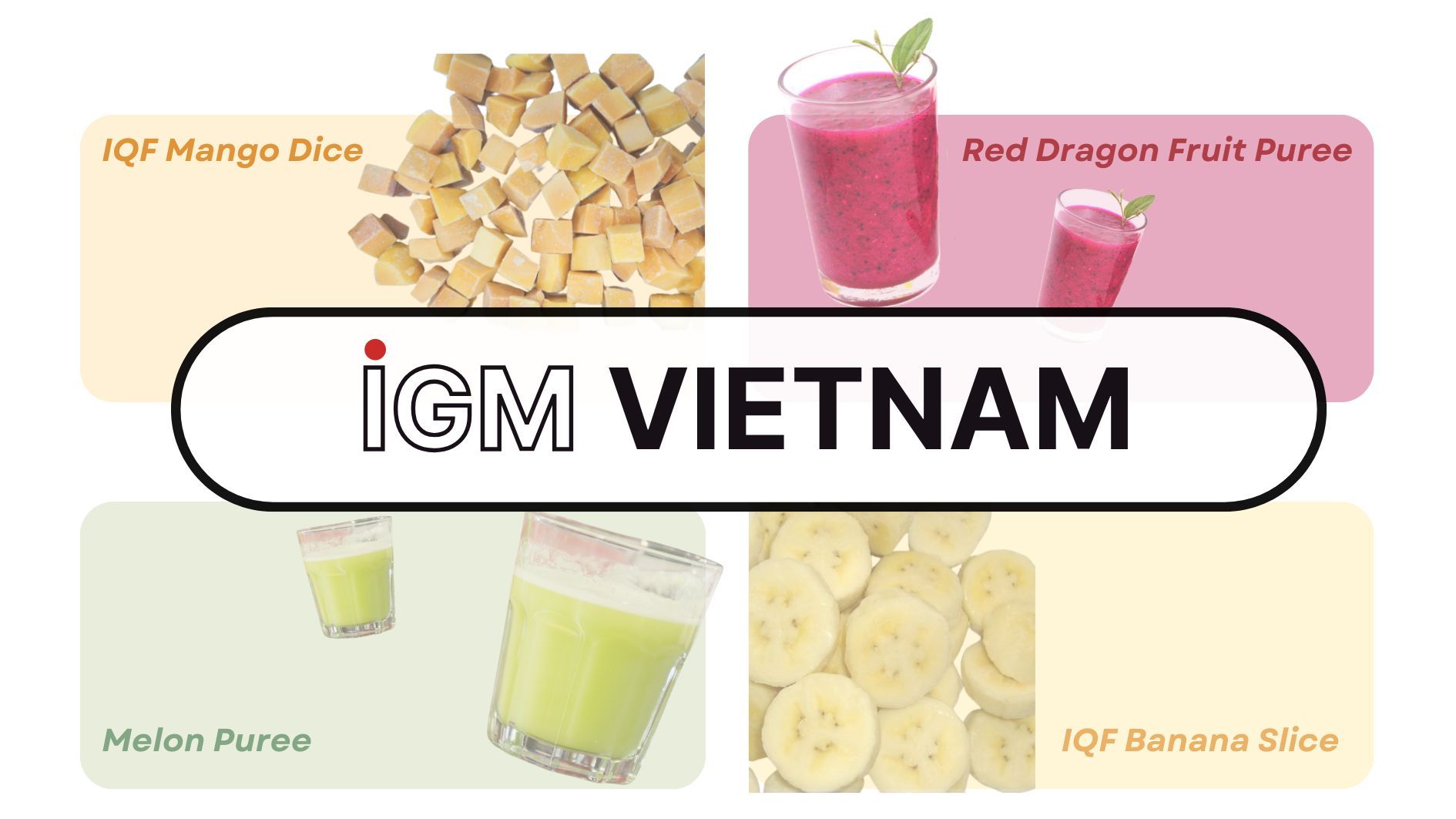 IGM Vietnam