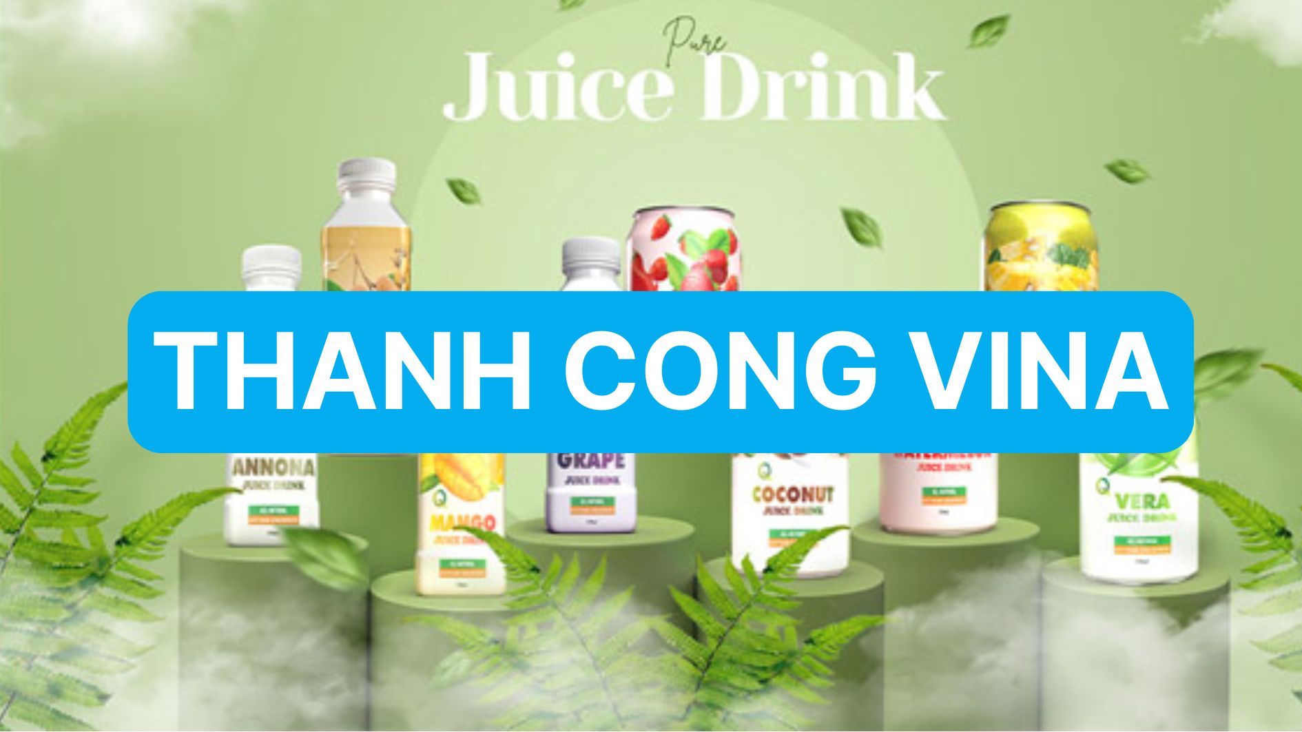 Thành Công Vina