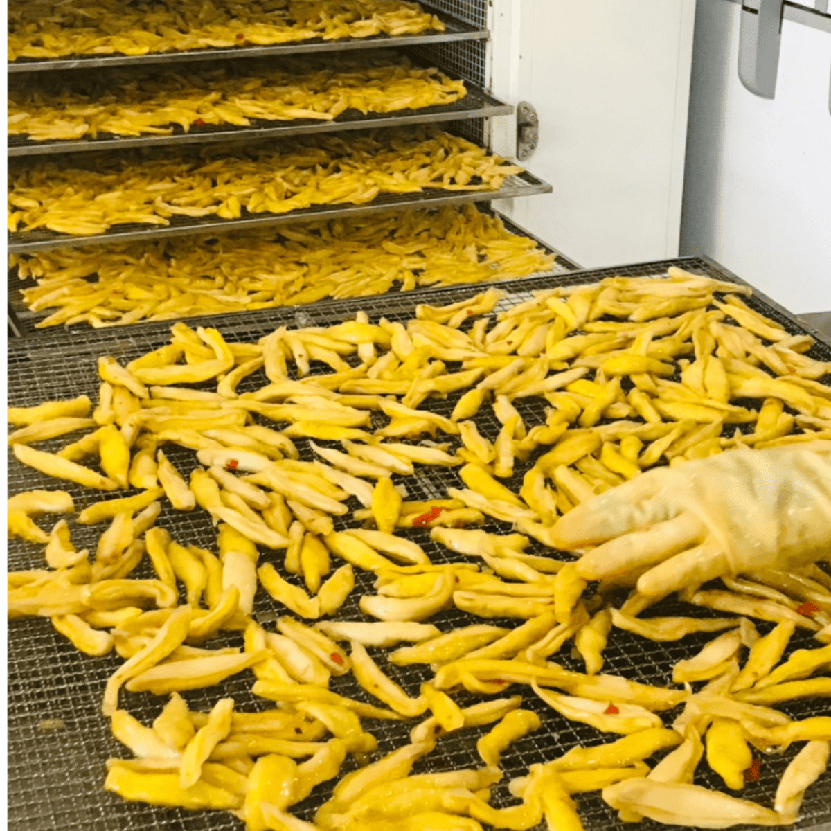 Dried Green Mango Soft Sliced from Vietnam for Export 1