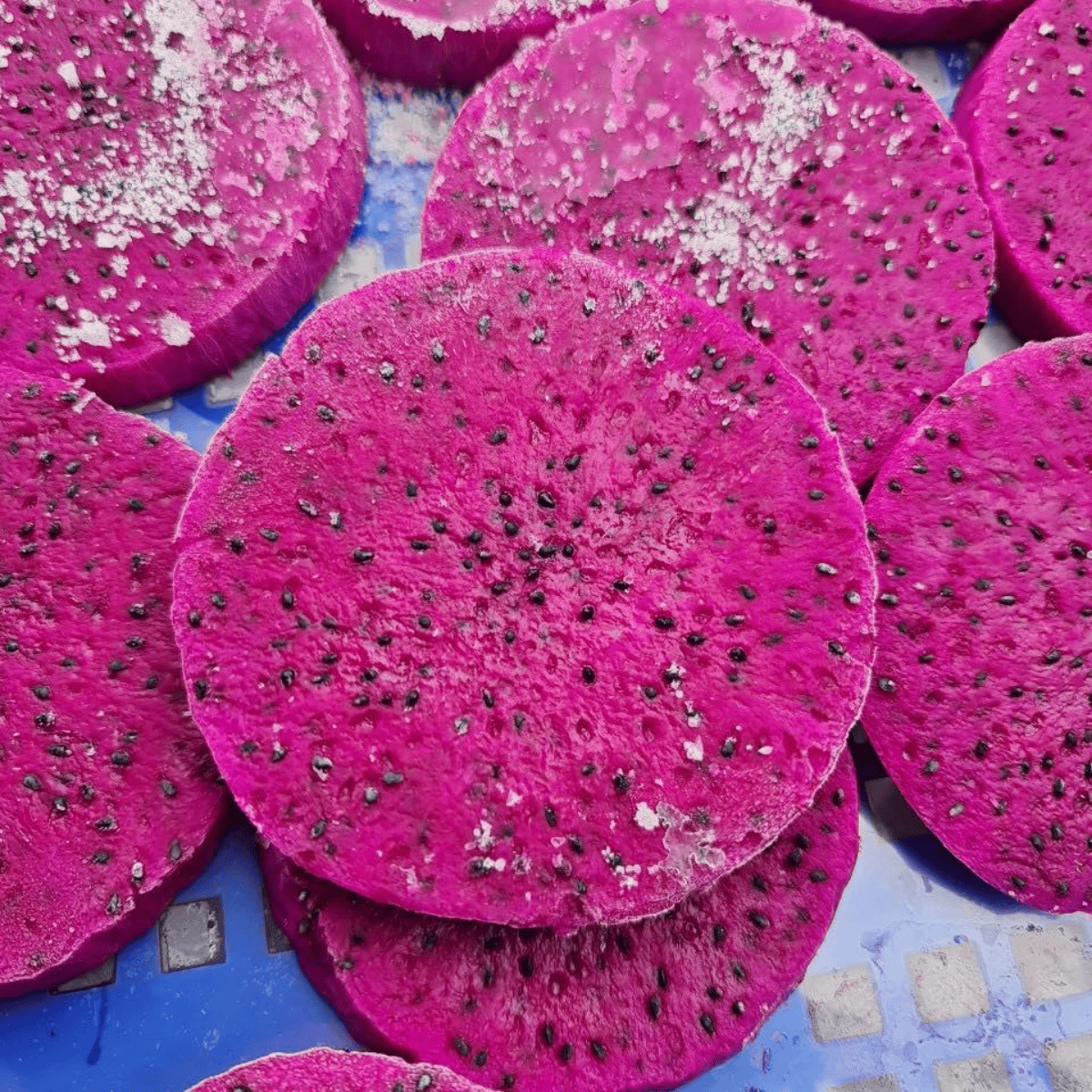 Red Dragon Fruit frozen cut 20x20mm BQF from Vietnam for export 1