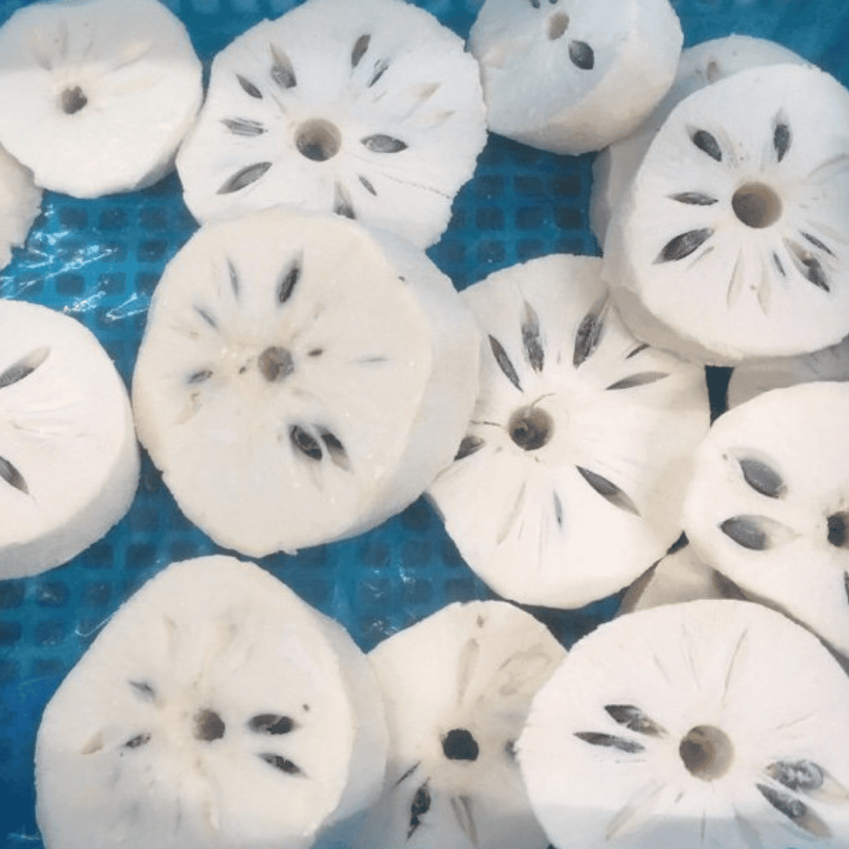 Soursop cut into 2.5cm 6cm pieces frozen BQF High Quality from Vietnam for Export 2