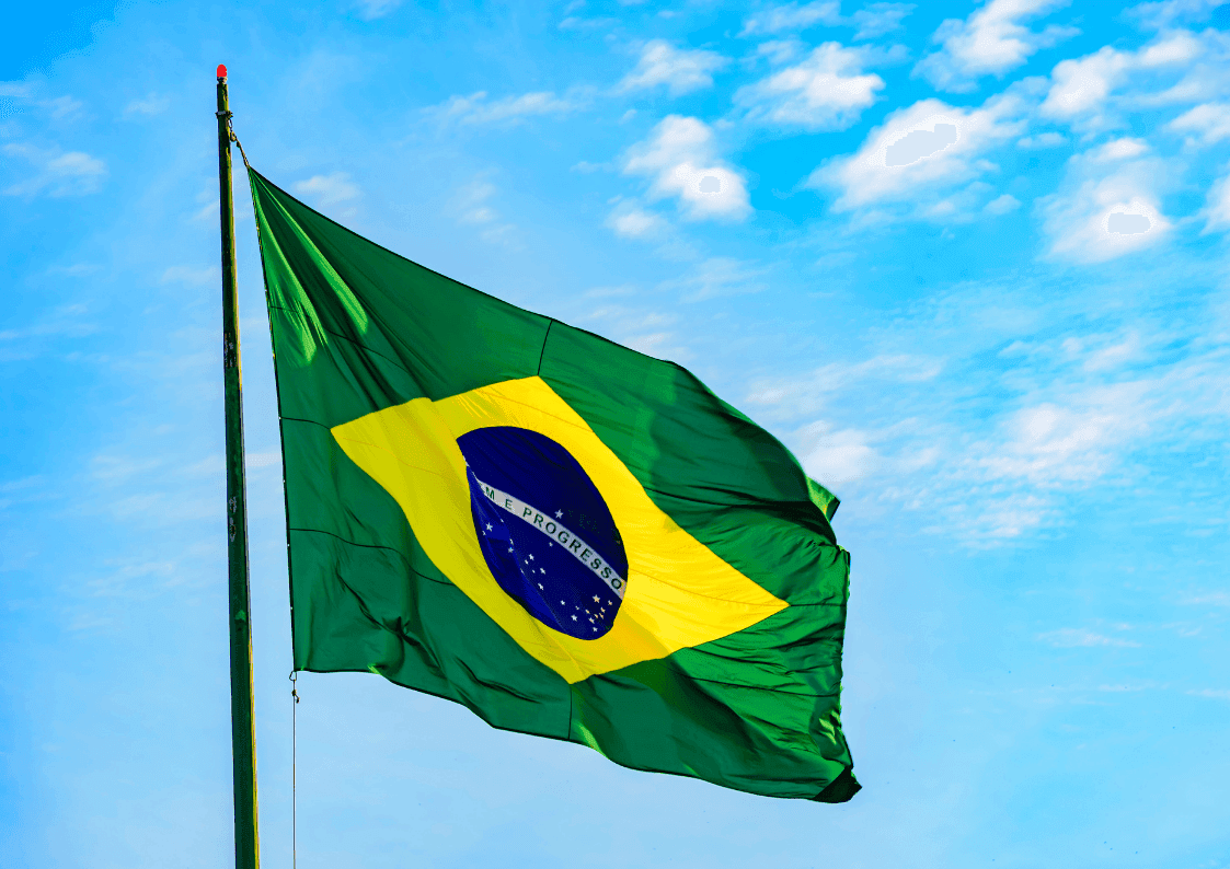 Brazil Cashew