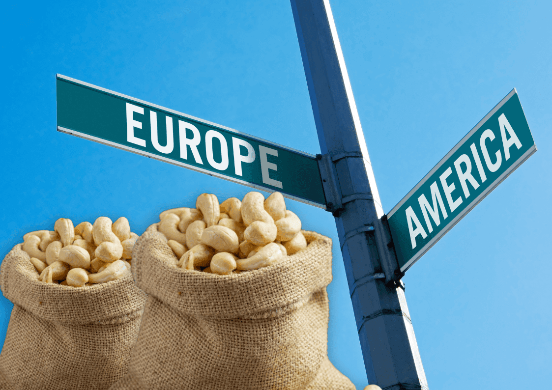 Europe and America import cashew