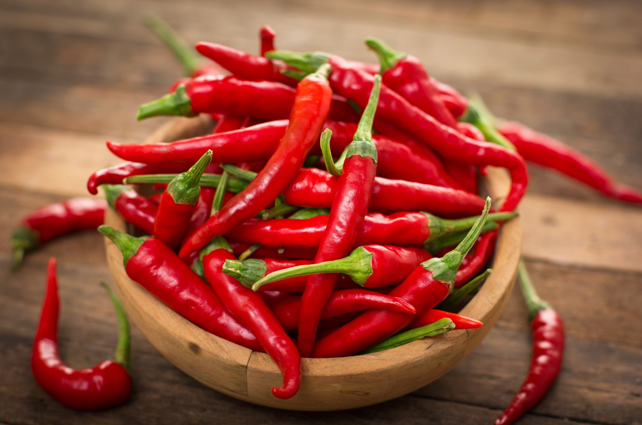 chilli pepper