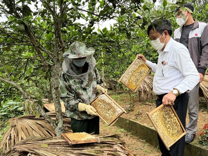 The quality of orchards increases thanks to beekeeping