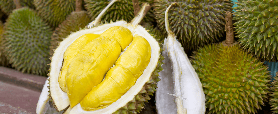Durian Fruit Export to China Faces Challenges Due to Stricter Inspections
