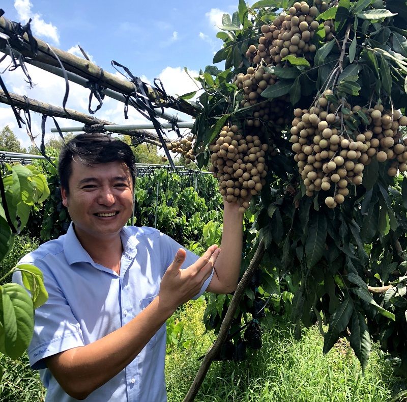 Growing organic fruit trees for export