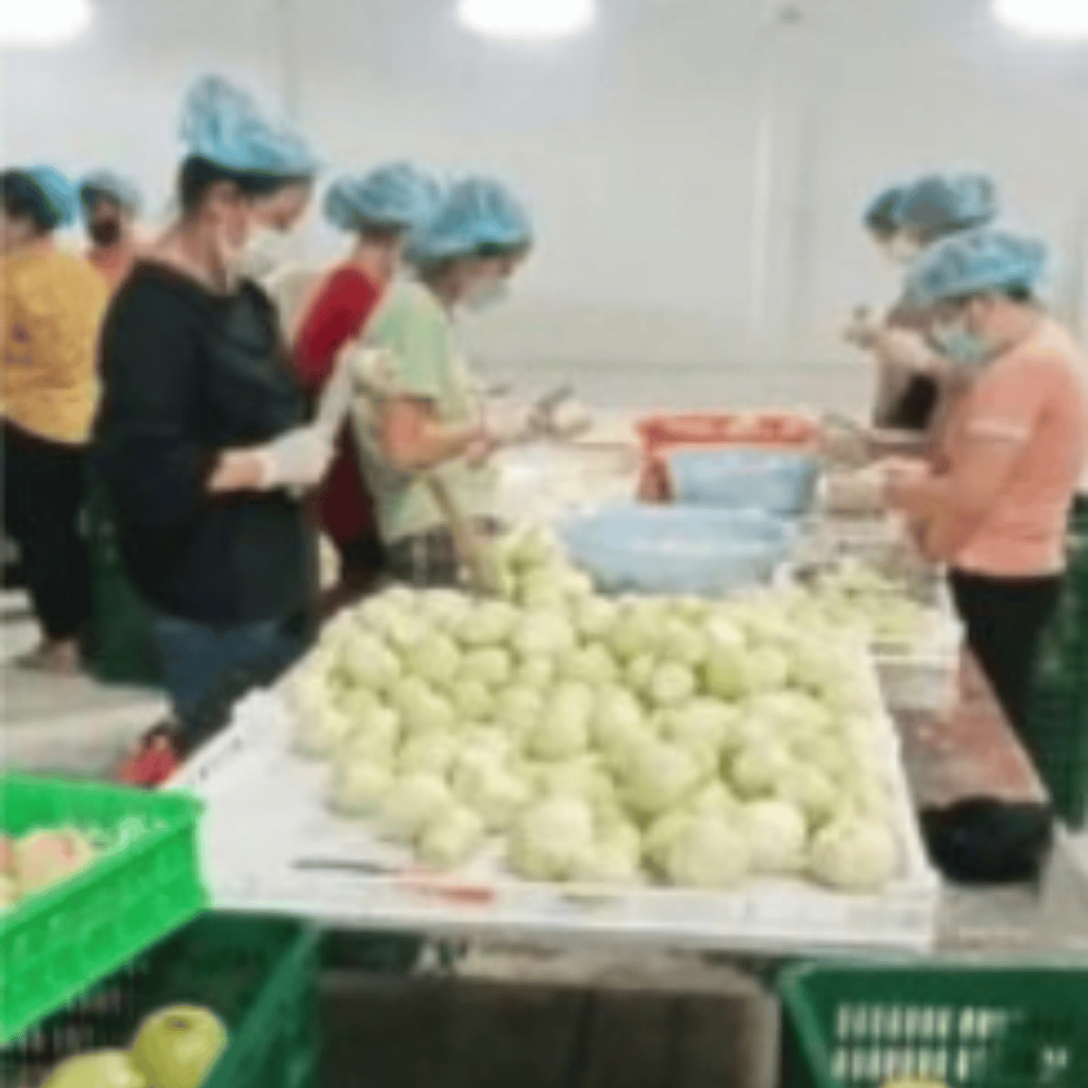 processing food.png