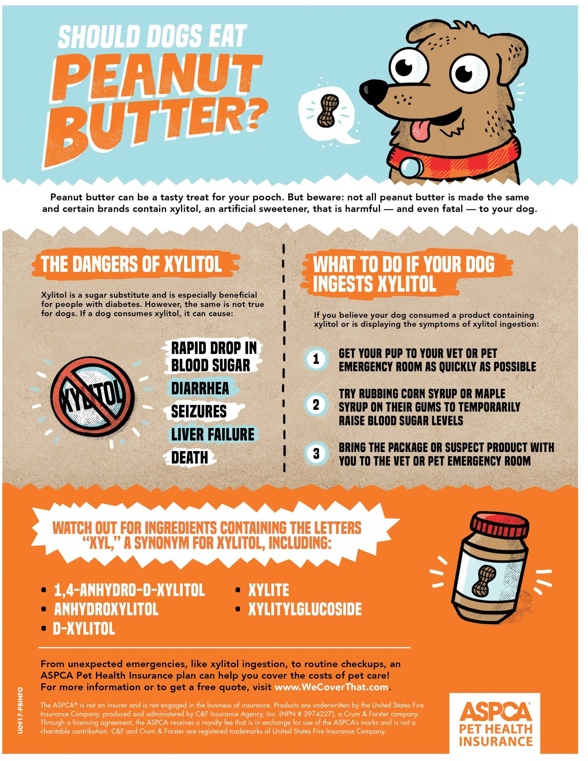 Protect Your Dog from Xylitol