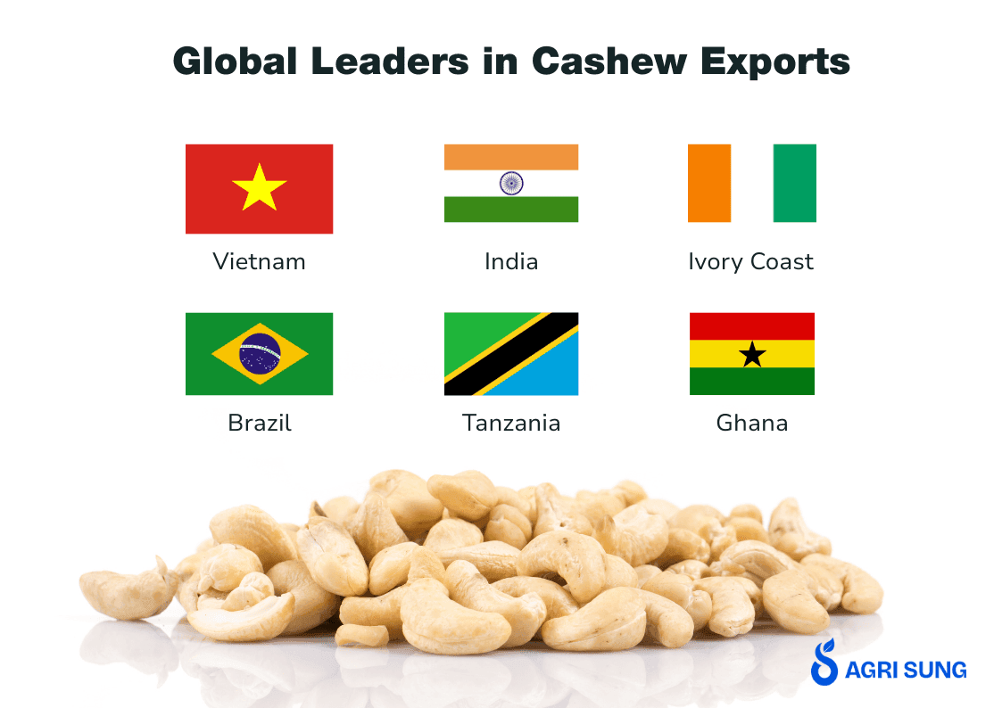 Top country in cashew exports